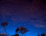 LAVV PHOTOGRAPHY