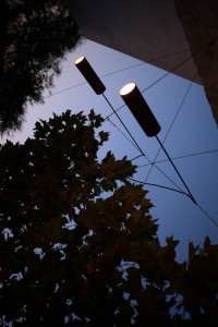55425687466_05803af74b_k