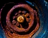 LAVV PHOTOGRAPHY