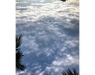 LAVV PHOTOGRAPHY