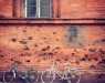 LAVV PHOTOGRAPHY