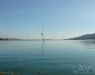 LAVV PHOTOGRAPHY