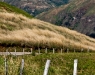 LAVV PHOTOGRAPHY